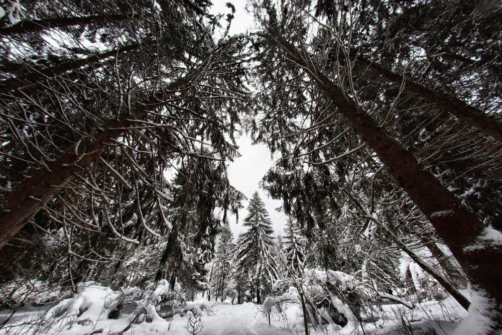 11. Platz Harald Unglert